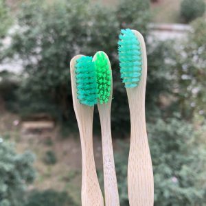 toothbrushes with green bristle